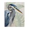 Stupell Industries Heron Palms Bird Portrait Canvas By Kim Allen